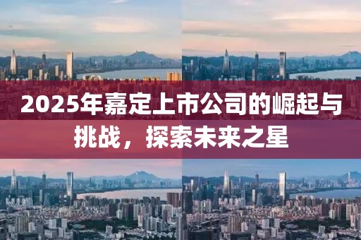 2025年嘉定上市公司的崛起与挑战，探索未来之星