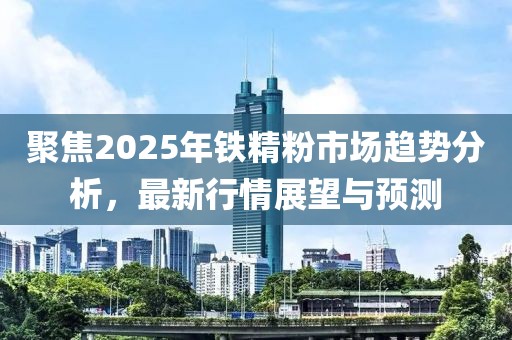 聚焦2025年铁精粉市场趋势分析，最新行情展望与预测