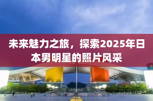 未来魅力之旅，探索2025年日本男明星的照片风采