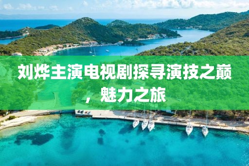 刘烨主演电视剧探寻演技之巅，魅力之旅