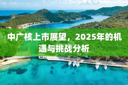 中广核上市展望，2025年的机遇与挑战分析