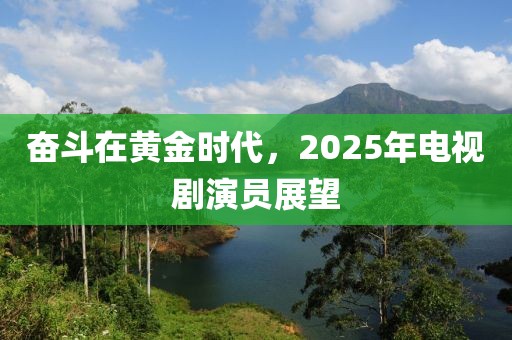 奋斗在黄金时代，2025年电视剧演员展望