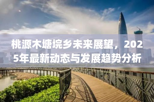 桃源木塘垸乡未来展望，2025年最新动态与发展趋势分析