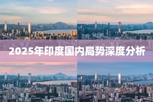 2025年印度国内局势深度分析