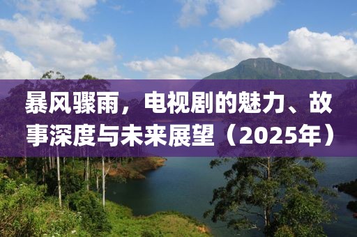 暴风骤雨，电视剧的魅力、故事深度与未来展望（2025年）
