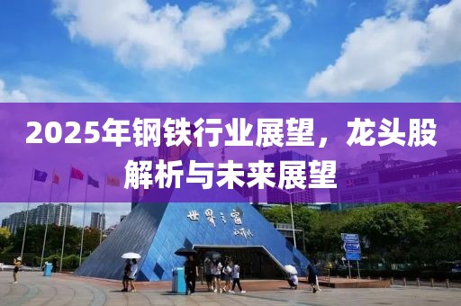 2025年钢铁行业展望，龙头股解析与未来展望