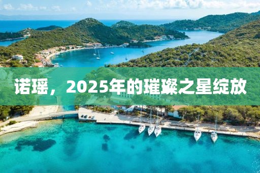 诺瑶，2025年的璀璨之星绽放