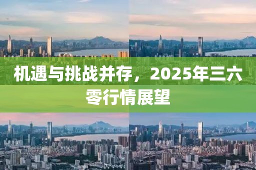 机遇与挑战并存，2025年三六零行情展望