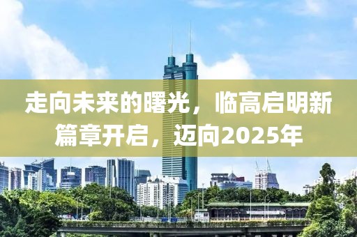 走向未来的曙光，临高启明新篇章开启，迈向2025年