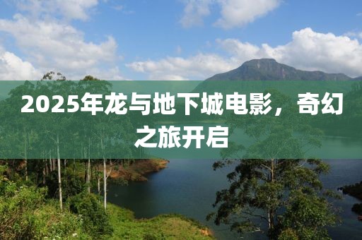 两把枪闯天下 第5页