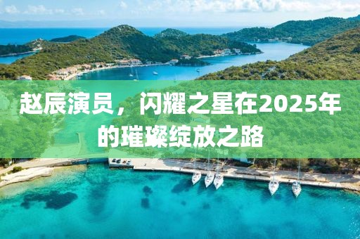 赵辰演员，闪耀之星在2025年的璀璨绽放之路