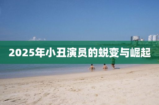 2025年小丑演员的蜕变与崛起