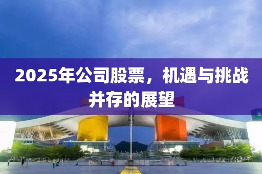2025年公司股票，机遇与挑战并存的展望