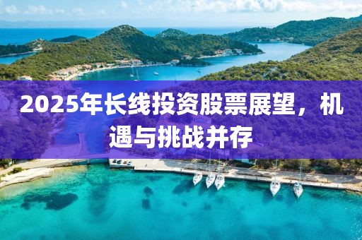 2025年长线投资股票展望，机遇与挑战并存