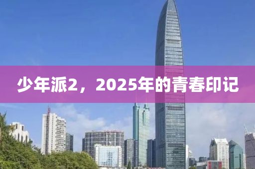 少年派2，2025年的青春印记