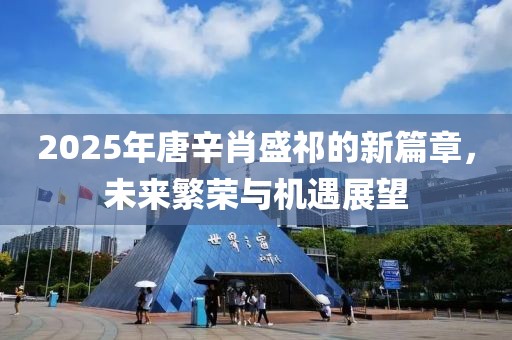 2025年唐辛肖盛祁的新篇章，未来繁荣与机遇展望
