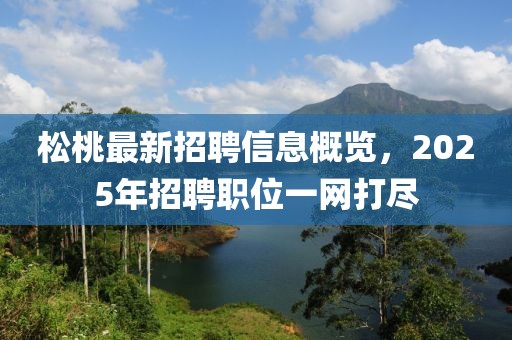 松桃最新招聘信息概览，2025年招聘职位一网打尽