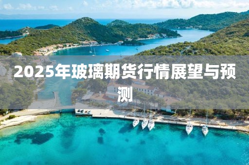 2025年玻璃期货行情展望与预测