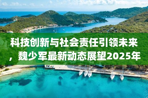科技创新与社会责任引领未来，魏少军最新动态展望2025年