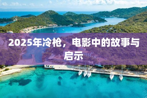 2025年冷枪，电影中的故事与启示