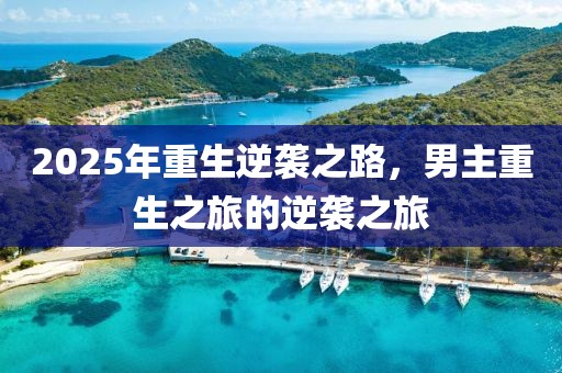 2025年重生逆袭之路，男主重生之旅的逆袭之旅