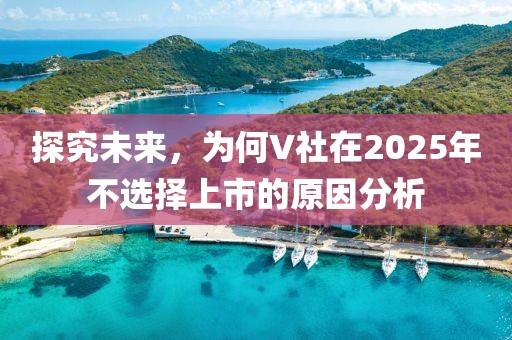 探究未来，为何V社在2025年不选择上市的原因分析