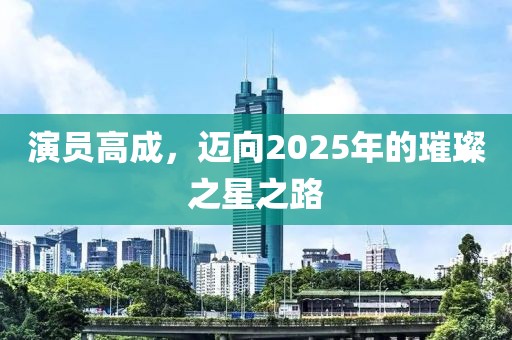演员高成，迈向2025年的璀璨之星之路