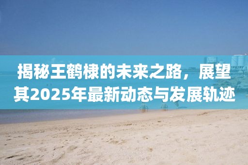 揭秘王鹤棣的未来之路，展望其2025年最新动态与发展轨迹