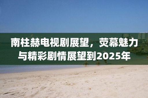南柱赫电视剧展望，荧幕魅力与精彩剧情展望到2025年