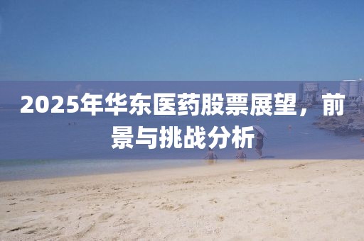2025年华东医药股票展望，前景与挑战分析
