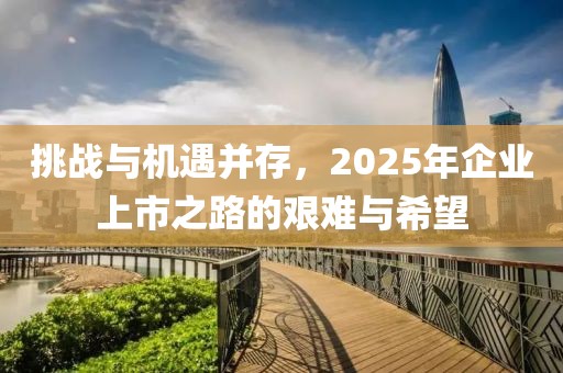 挑战与机遇并存，2025年企业上市之路的艰难与希望