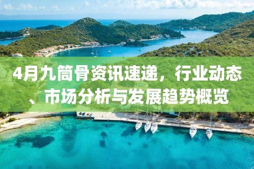 4月九筒骨资讯速递，行业动态、市场分析与发展趋势概览