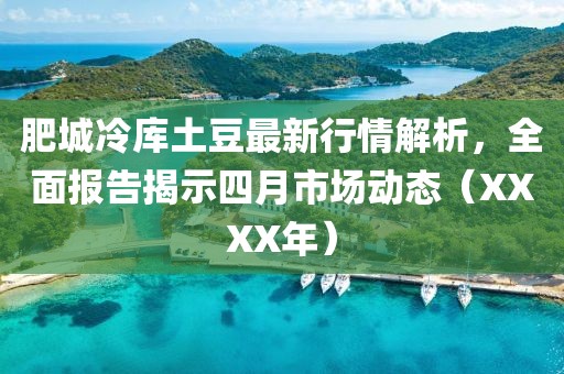 肥城冷库土豆最新行情解析，全面报告揭示四月市场动态（XXXX年）