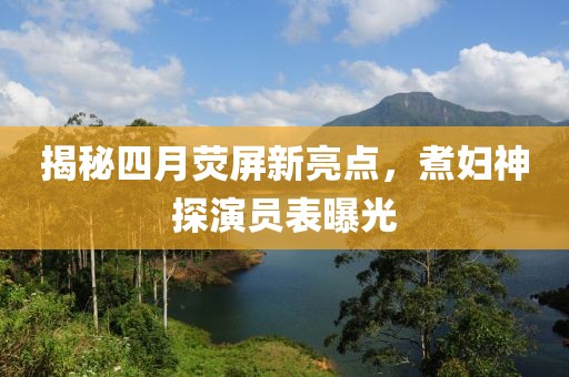 揭秘四月荧屏新亮点，煮妇神探演员表曝光