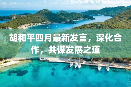 胡和平四月最新发言，深化合作，共谋发展之道