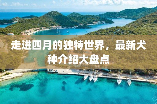 紫娟 第3页