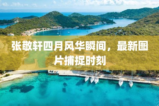 张敬轩四月风华瞬间，最新图片捕捉时刻