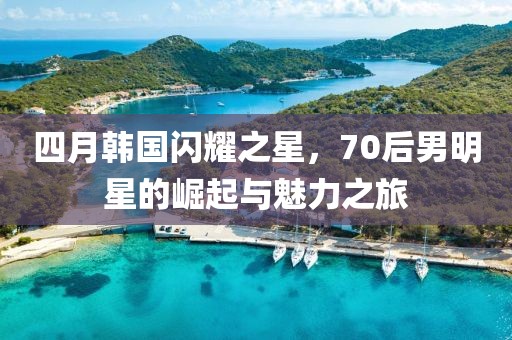 四月韩国闪耀之星，70后男明星的崛起与魅力之旅