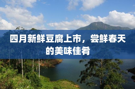 四月新鲜豆腐上市，尝鲜春天的美味佳肴