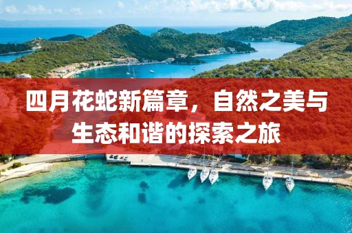 四月花蛇新篇章，自然之美与生态和谐的探索之旅