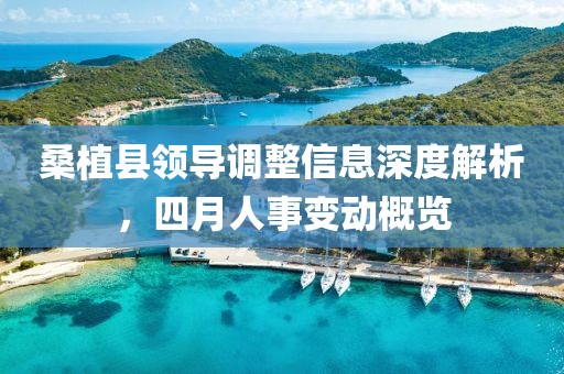 桑植县领导调整信息深度解析，四月人事变动概览