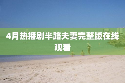 4月热播剧半路夫妻完整版在线观看
