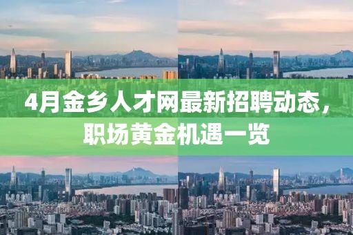4月金乡人才网最新招聘动态，职场黄金机遇一览