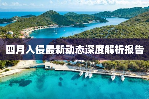 四月入侵最新动态深度解析报告