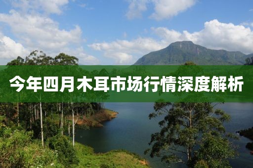 今年四月木耳市场行情深度解析