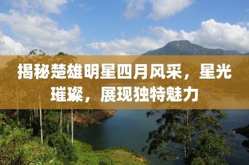 揭秘楚雄明星四月风采，星光璀璨，展现独特魅力
