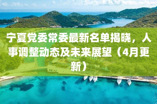 宁夏党委常委最新名单揭晓，人事调整动态及未来展望（4月更新）