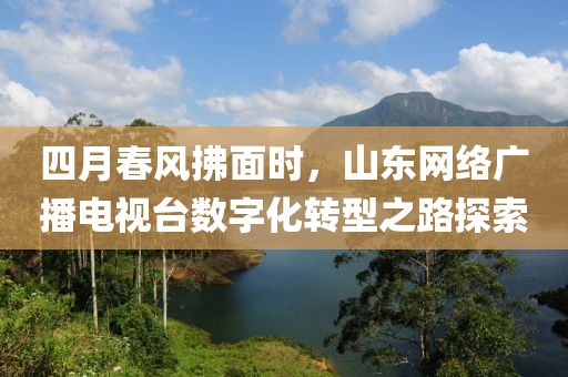 美丽的过往 第3页