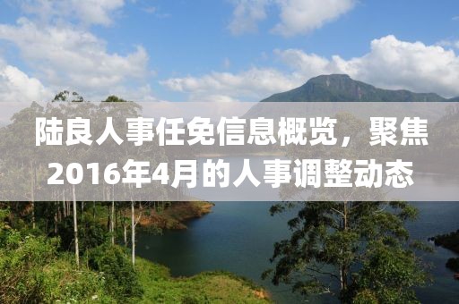 陆良人事任免信息概览，聚焦2016年4月的人事调整动态