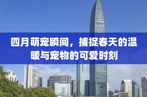四月萌宠瞬间，捕捉春天的温暖与宠物的可爱时刻